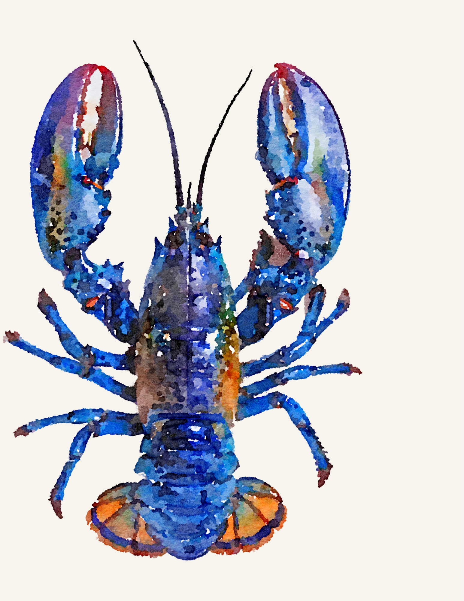 Blue Lobster watercolor mark